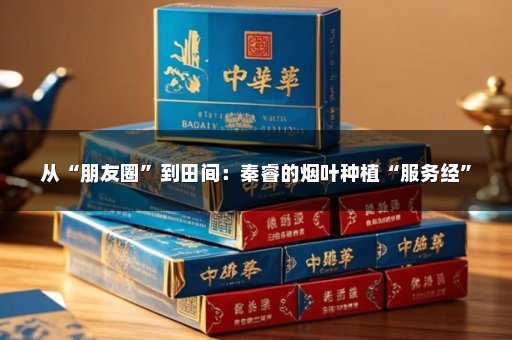 从“朋友圈”到田间：秦睿的烟叶种植“服务经”